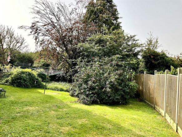 garden pic1.jpg