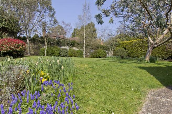 garden3.jpg