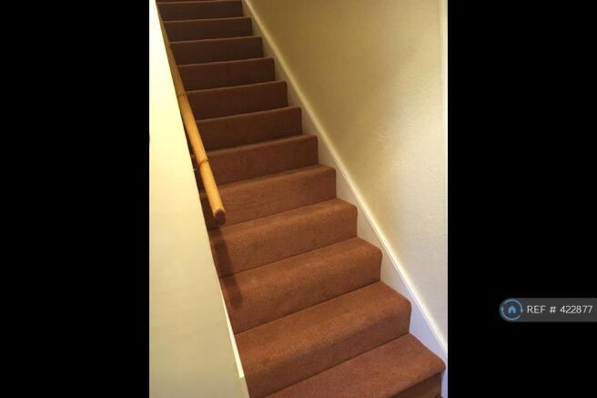New Carpet!