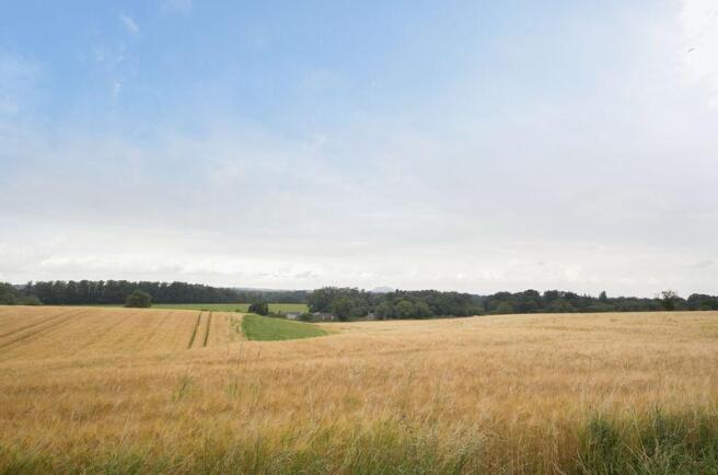 Open Farmland