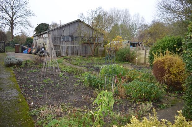 Veg Garden