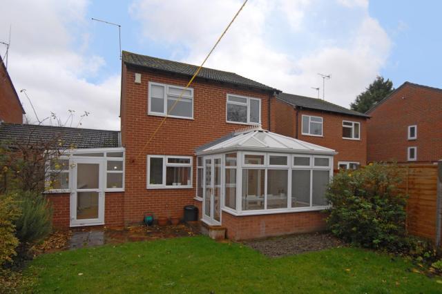 Rear Elevation