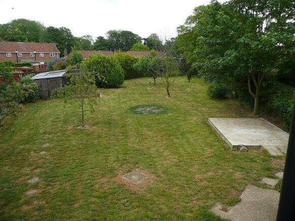 garden 1