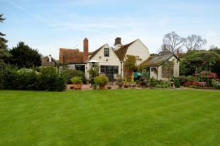 Garden 2
