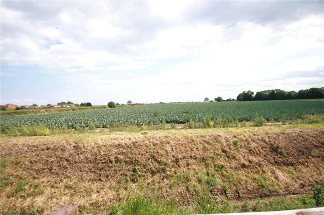 Field Views