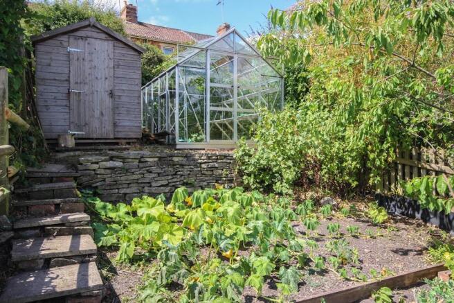 Vegetable garden
