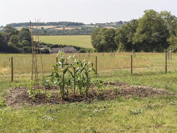Vegetable Garden