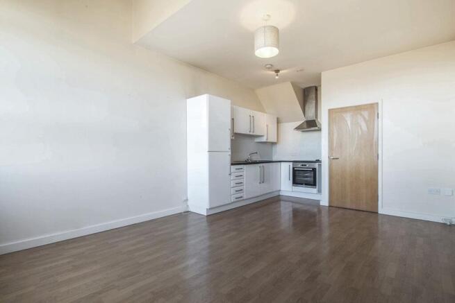 Kitchen/Living Area