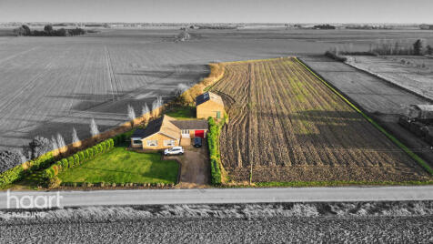 Damgate Road, Holbeach