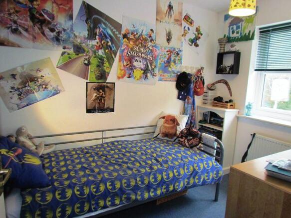 Photo 11