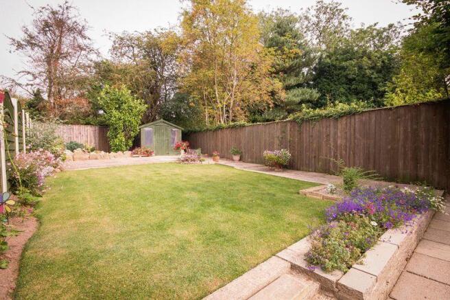 Lawn Area