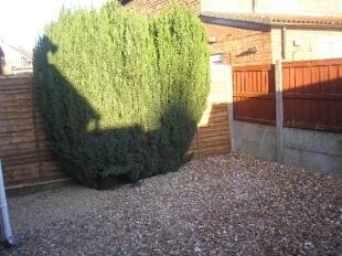 Rear garden