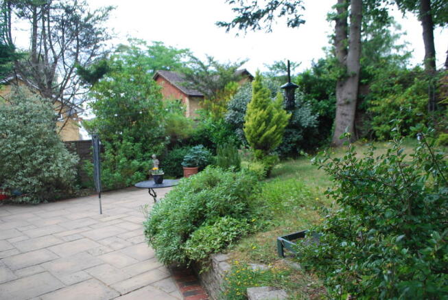 Photo 15