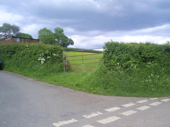 Photo 4