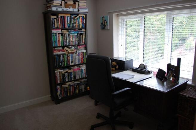 Photo 7