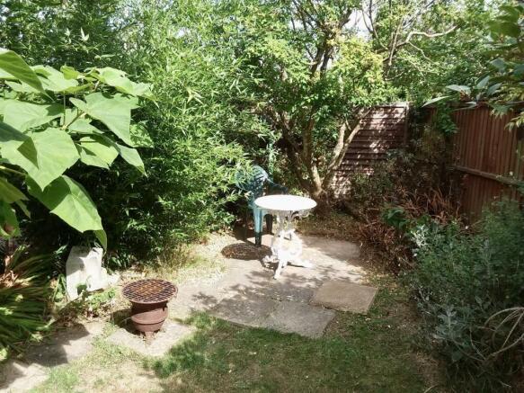 Garden August 2022