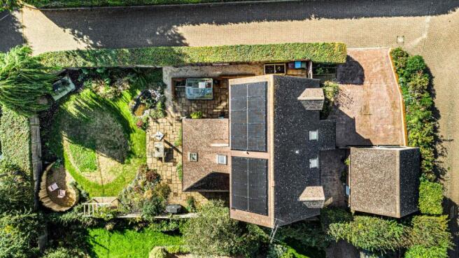 Birdseye