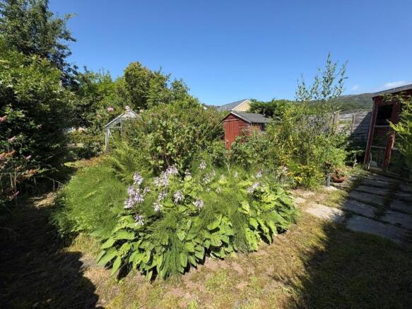 'Secret' Garden.JPEG
