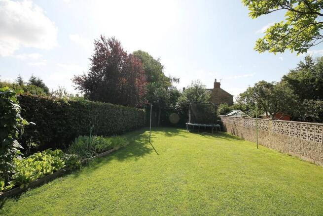 Garden 3