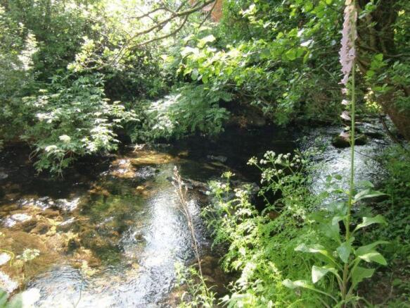 Photo8
