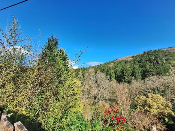 Back View from kitchen.jpg