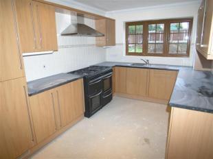 Luxury Kitchen
