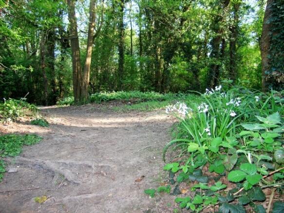 Pathway