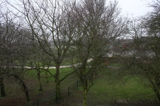 View over Park