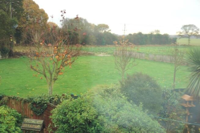 View from Bed 2