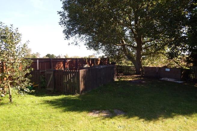 Vegetable Garden