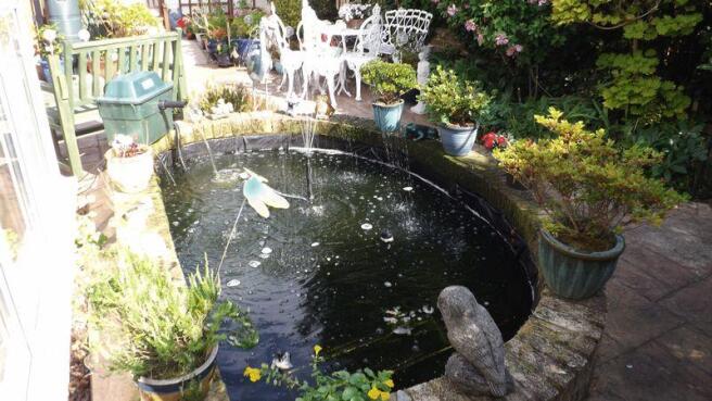 Pond and water...