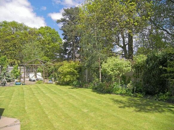 Garden 5