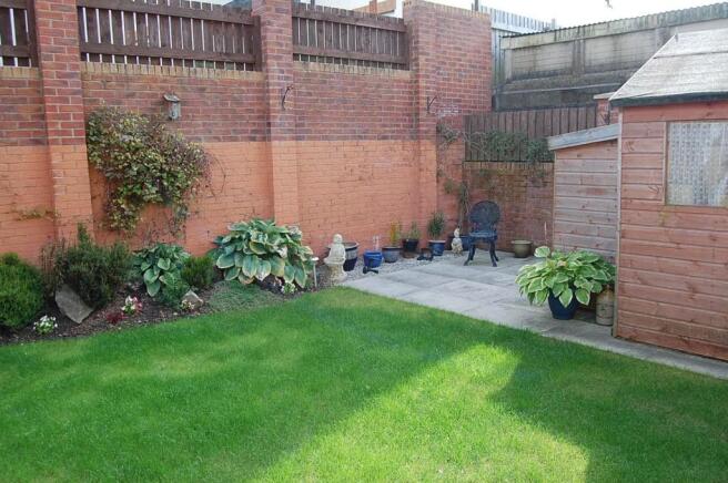 Photo 11