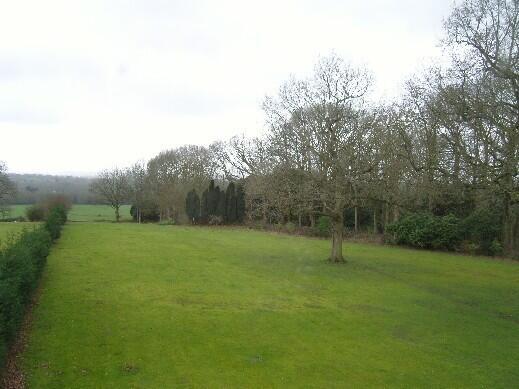 Part of Garden