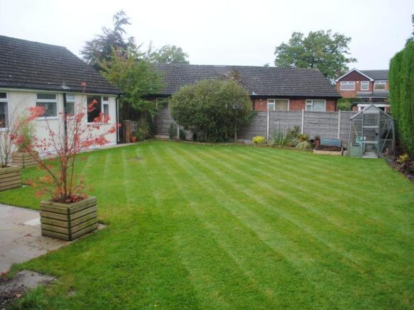 Image 15