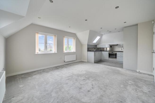 Living Room and Kitchen