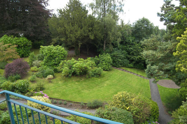 Communal Grounds