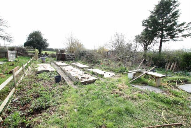 veg patch