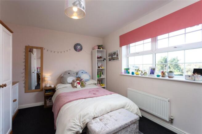Photos