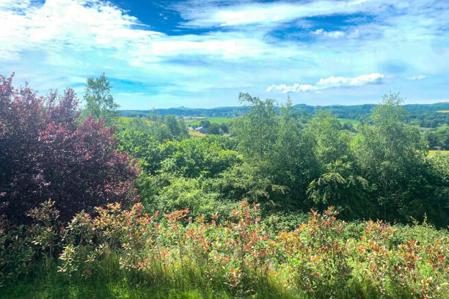 View from Bedroom...