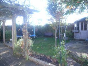 Picture No.11
