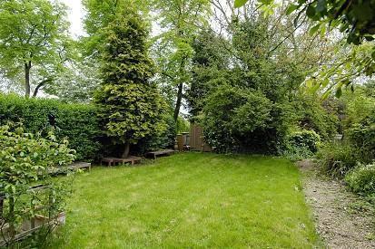 South-Facing Garden