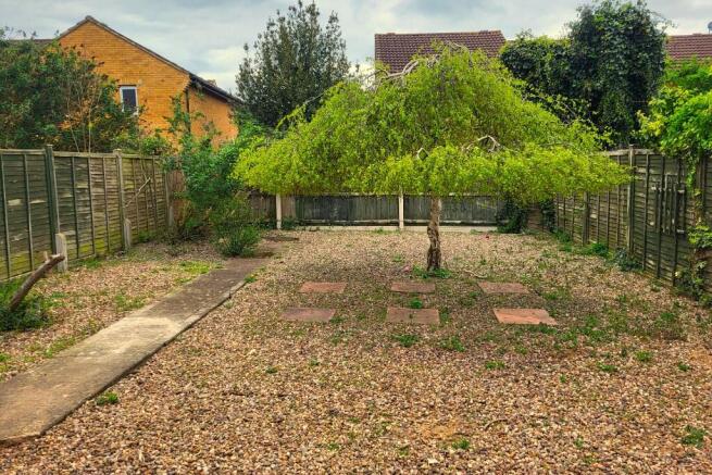 Sunny Rear Garden 