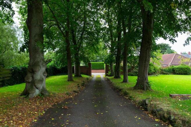 Driveway