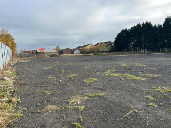 PHOTO20250110092805 007.jpg