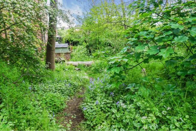 Mature Garden