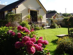 Rear of Property