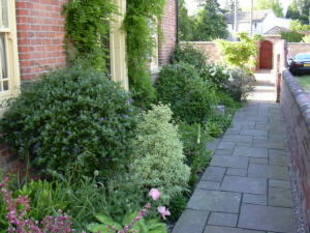 Photo 30