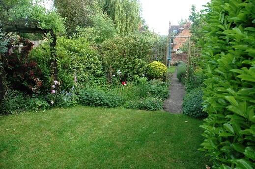 South Facing Garden