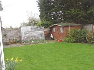 Garden Photo 2